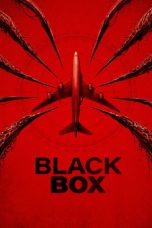Black Box (Flight 298) (2026)